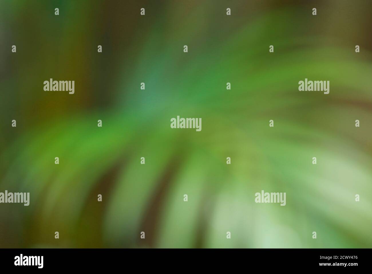 Soft blurred green background hi-res stock photography and images - Alamy