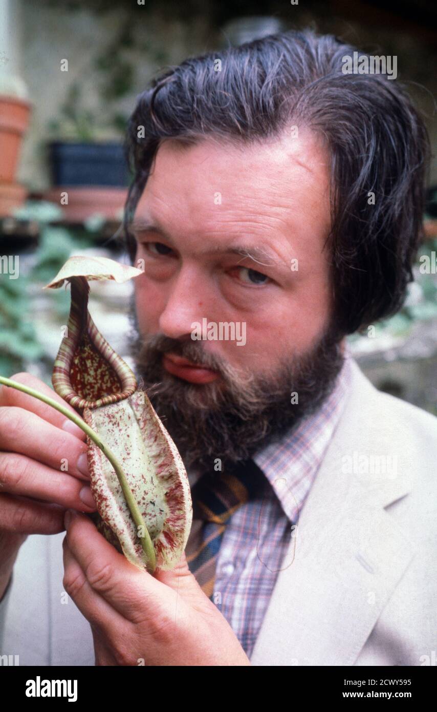 A coniferous plant species - collected by botanist Adrian Slack Somerset  1980 Adrian Slack (19332018[1]) was a landscape gardener, plantsman,  author and authority on carnivorous plants. He won 5 gold medals at