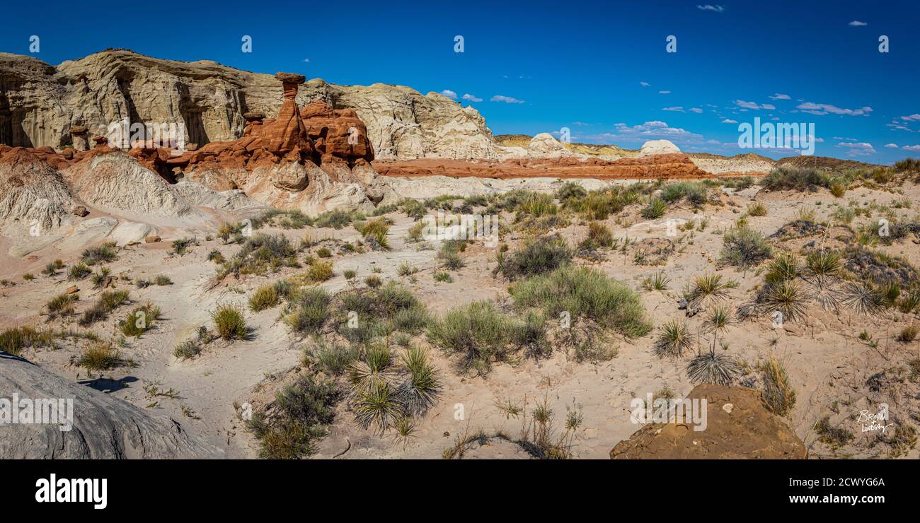 The Toadstool Trail leads to an area of hoodoos and balanced rock formations created by centuries of erosion and is part of the Grand Staircase-Escala Stock Photo