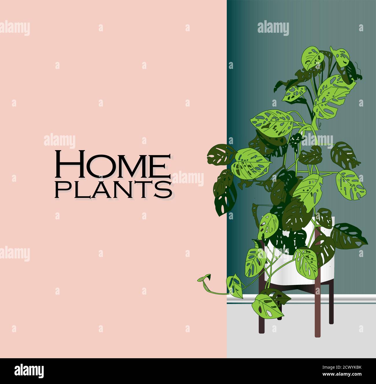 Vector Houseplants in a container for indoor use as a house plant in