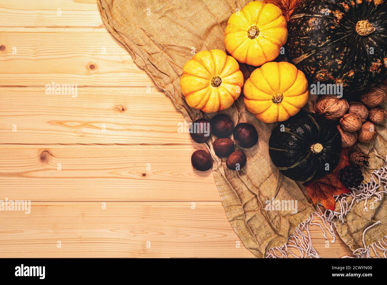 Happy Thanksgiving Day with pumpkin and nut on wooden background Stock ...
