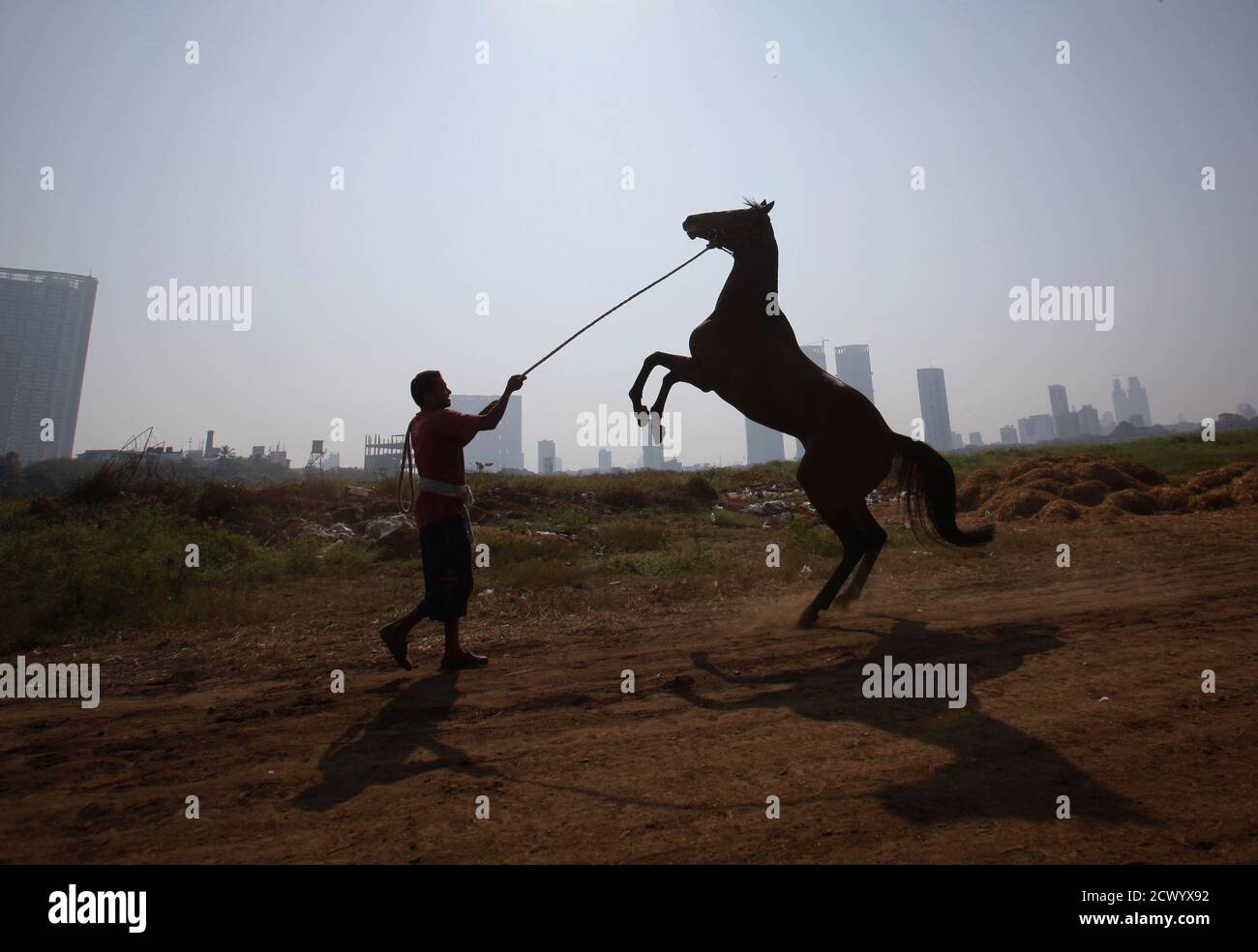 India Horse Racing High Resolution Stock Photography And Images Alamy Horse racing news, fixtures, race reports, features and analysis. https www alamy com a groom holds his horse as it rears up after working out on the track during early morning workouts for the upcoming derby race in mumbai february 2 2012 reutersdanish siddiqui india tags sport horse racing animals image377397470 html