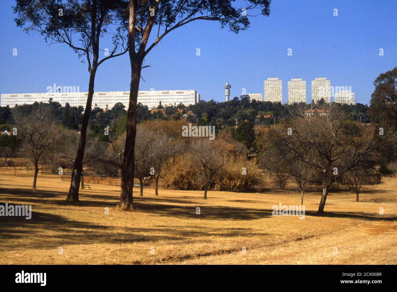 Johannesburg skyline of modern buildings, with the Hillbrow TV tower beyond, seen from the zoo
