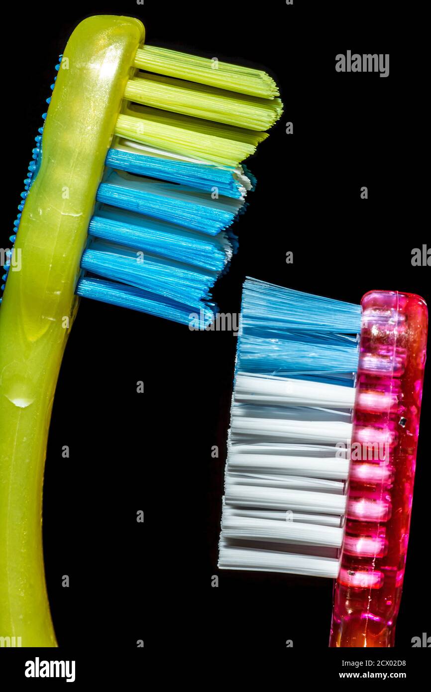 Close up isolated image of two toothbrushes facing each other. The taller yellow, blue one belongs to elder brother and the pink shorter one to younge Stock Photo
