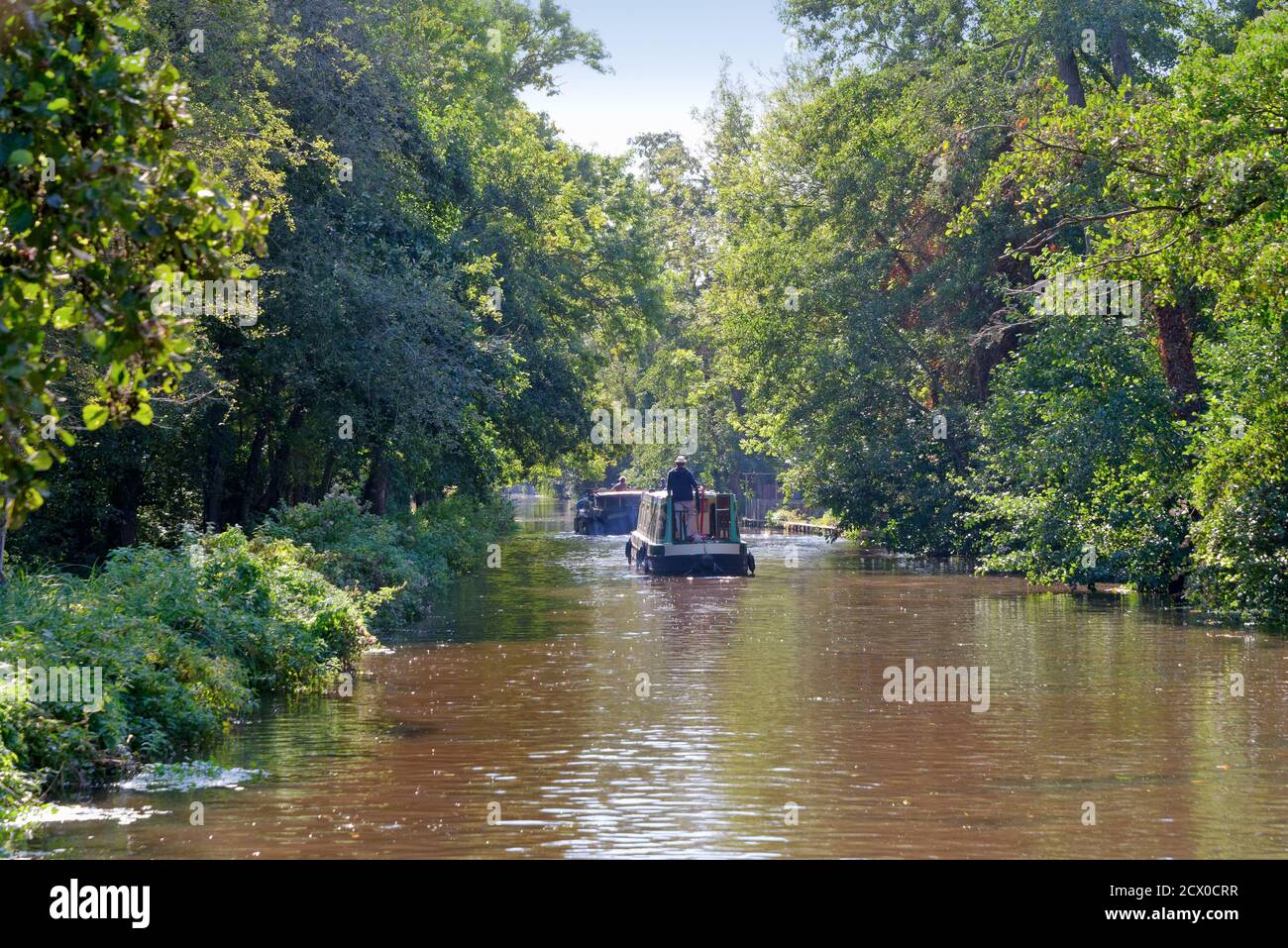 Private leisure boats passing along the River Wey Navigation  and canal at New Haw on a sunny summers day, Surrey England UK Stock Photo