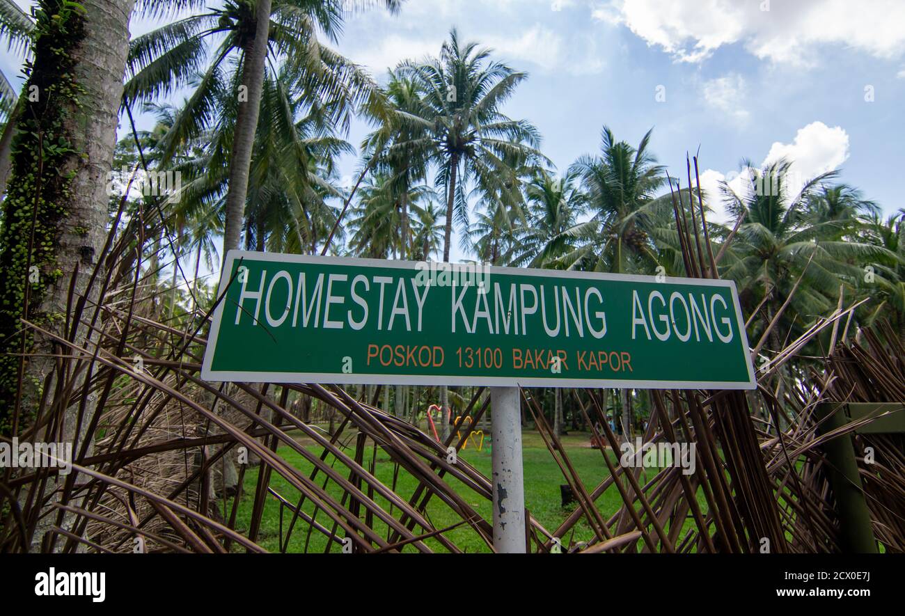 Penaga Penang Malaysia Oct 27 2019 Signboard Homestay Kampung Agong Stock Photo Alamy