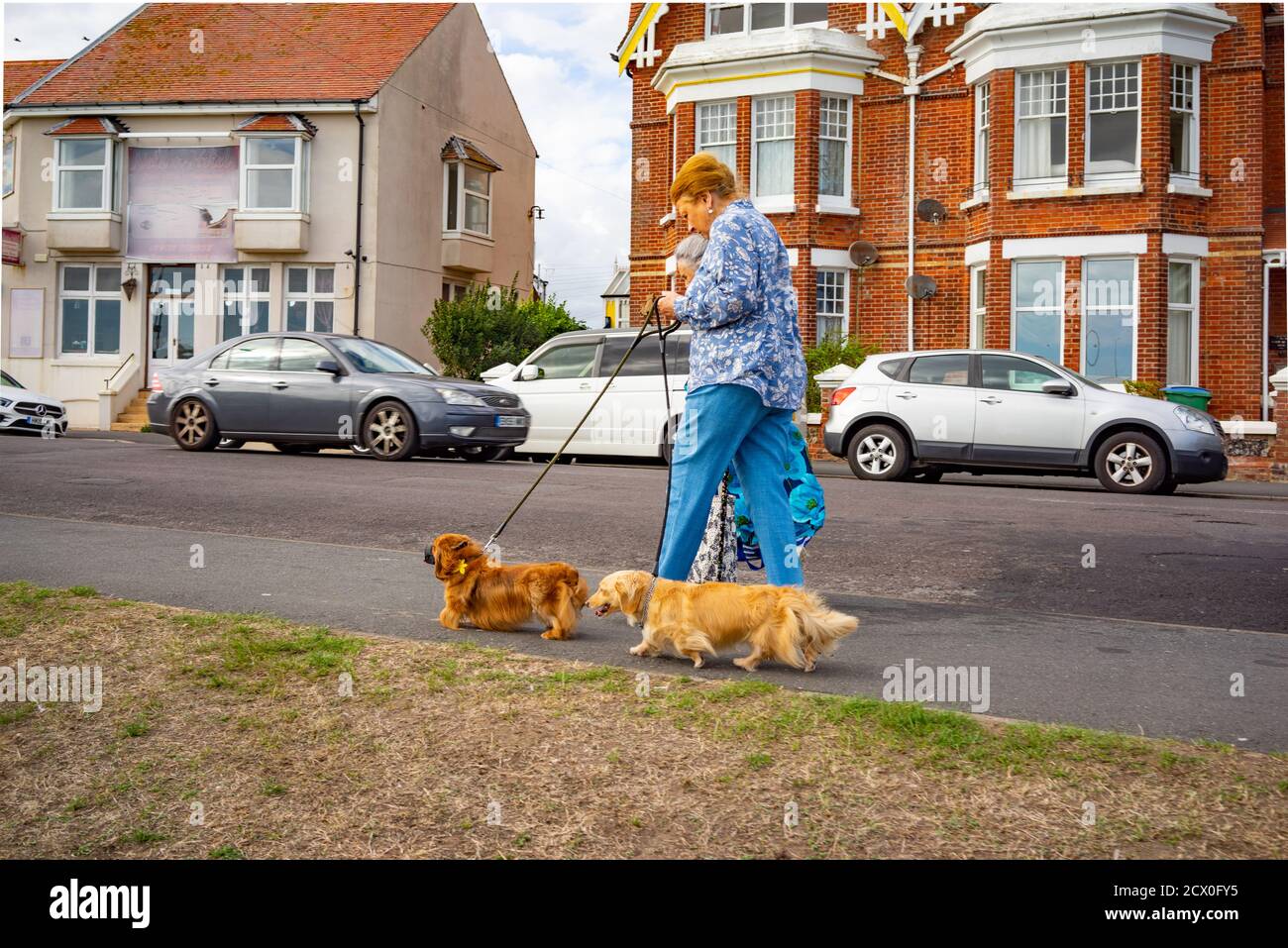 Two old ladies with dog hi-res stock photography and images - Alamy