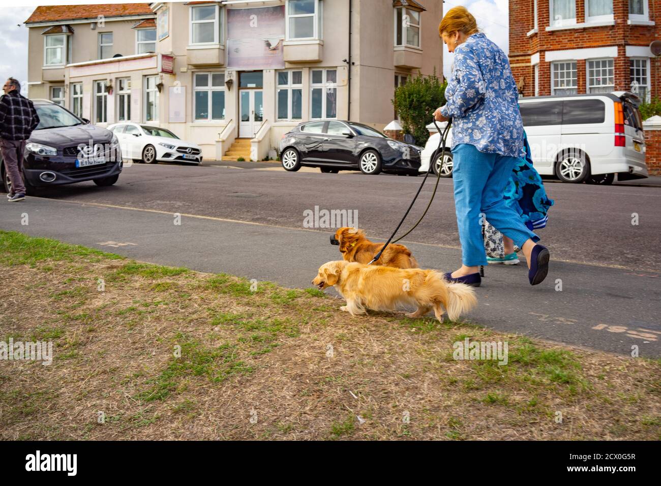 Two old ladies with dog hi-res stock photography and images - Alamy