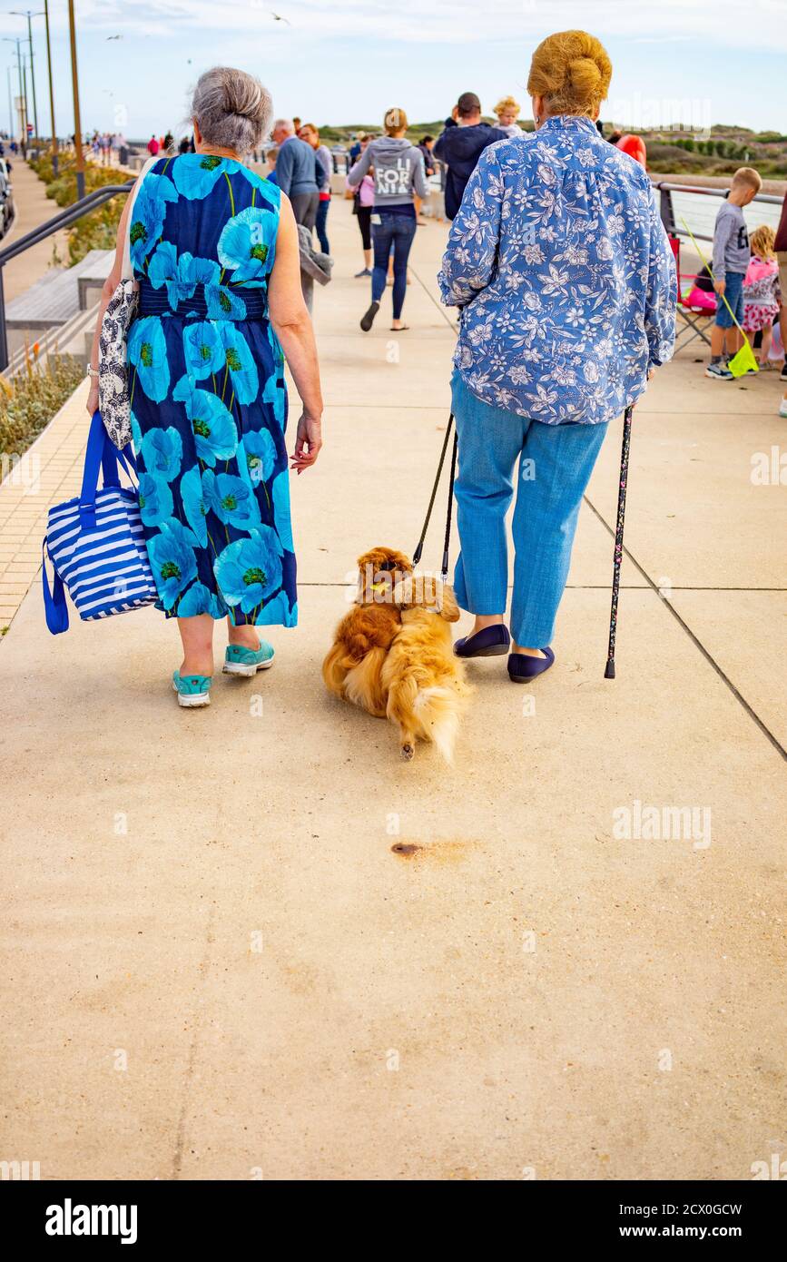 Two old ladies with dog hires stock photography and images Alamy
