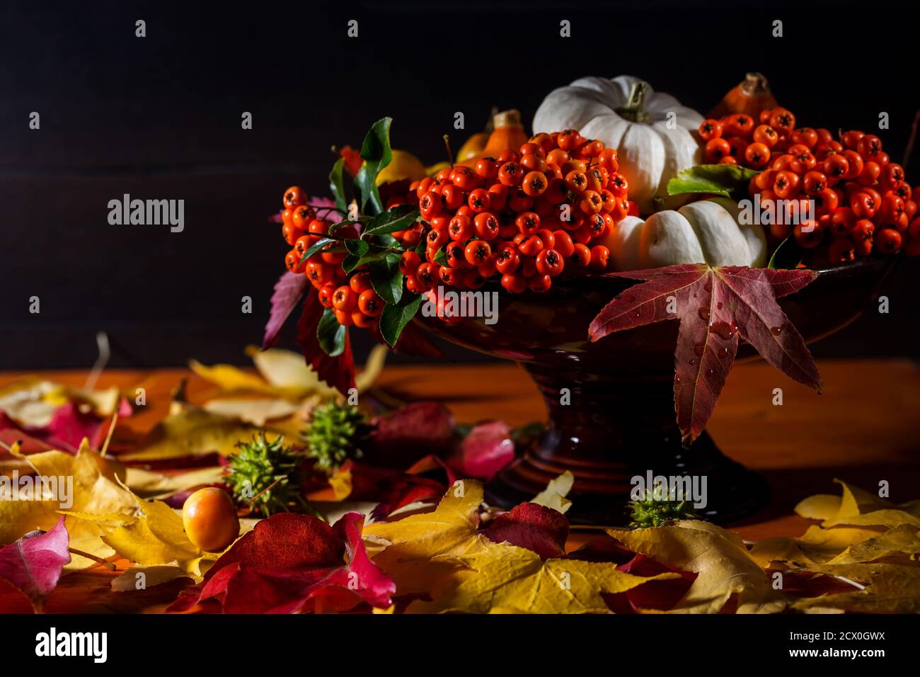 Autumn still life with colorful leaves and autumn deco fruits on black ...