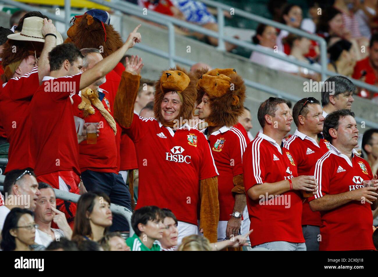British irish lions supporters High 