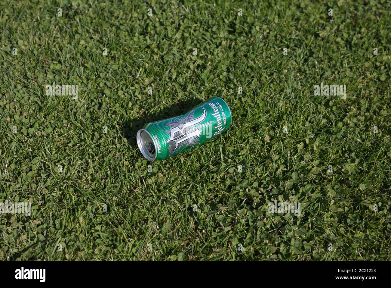 Drinks can on lawn Stock Photo