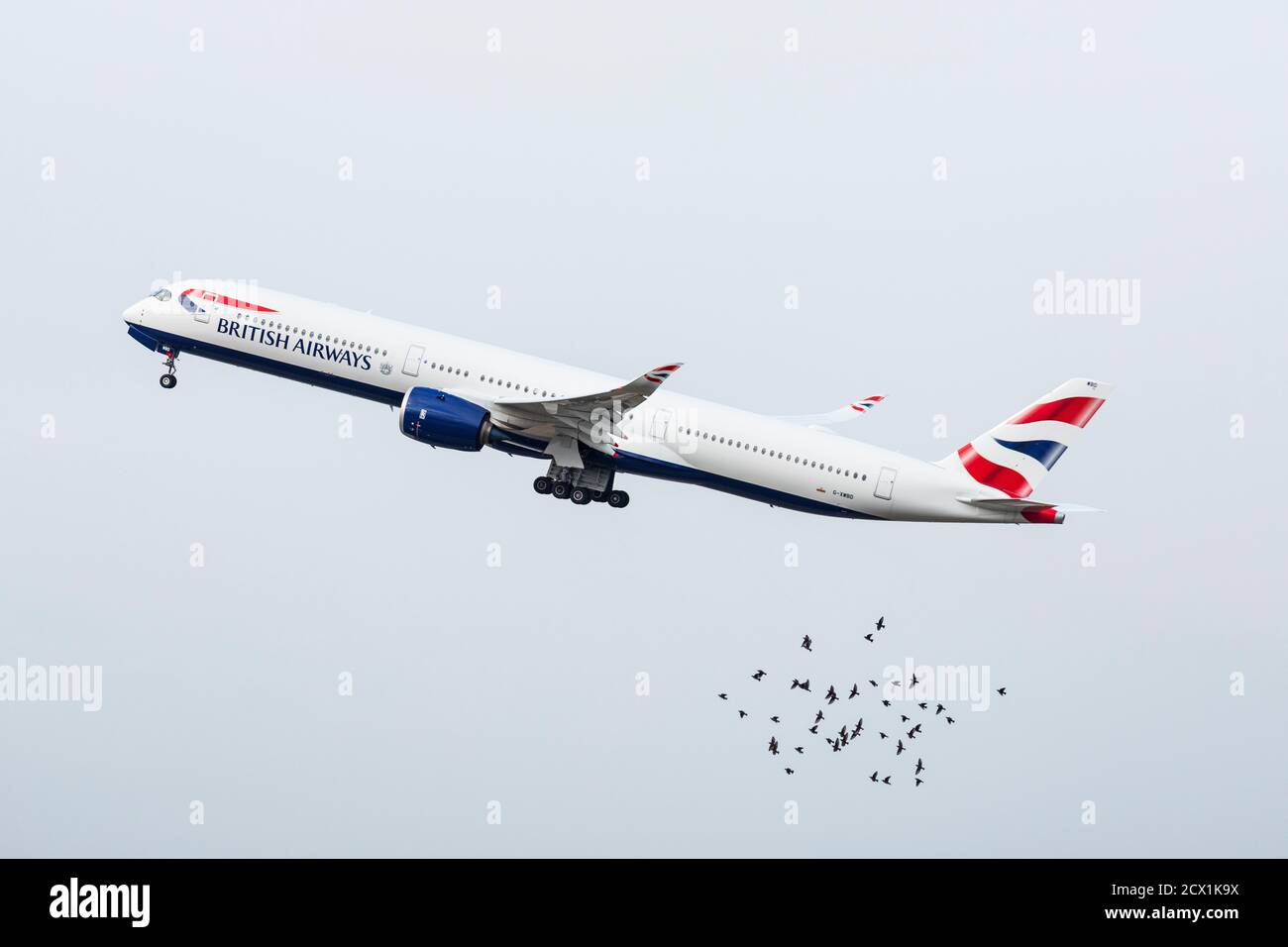 British Airways Airbus A350 taking off with a flock of birds in the foreground on September 26th 2020 at London Heathrow Airport, Middlesex, UK Stock Photo