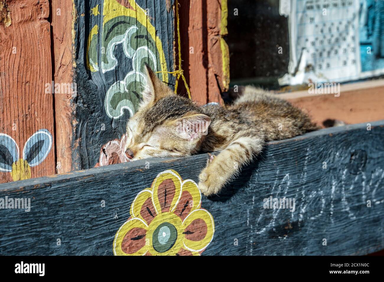 Cat sleeping in the sunlight on a window frame in Paro, Bhutan Stock Photo