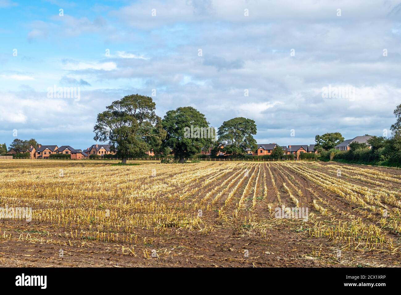 Housing development next to farmland Stock Photo