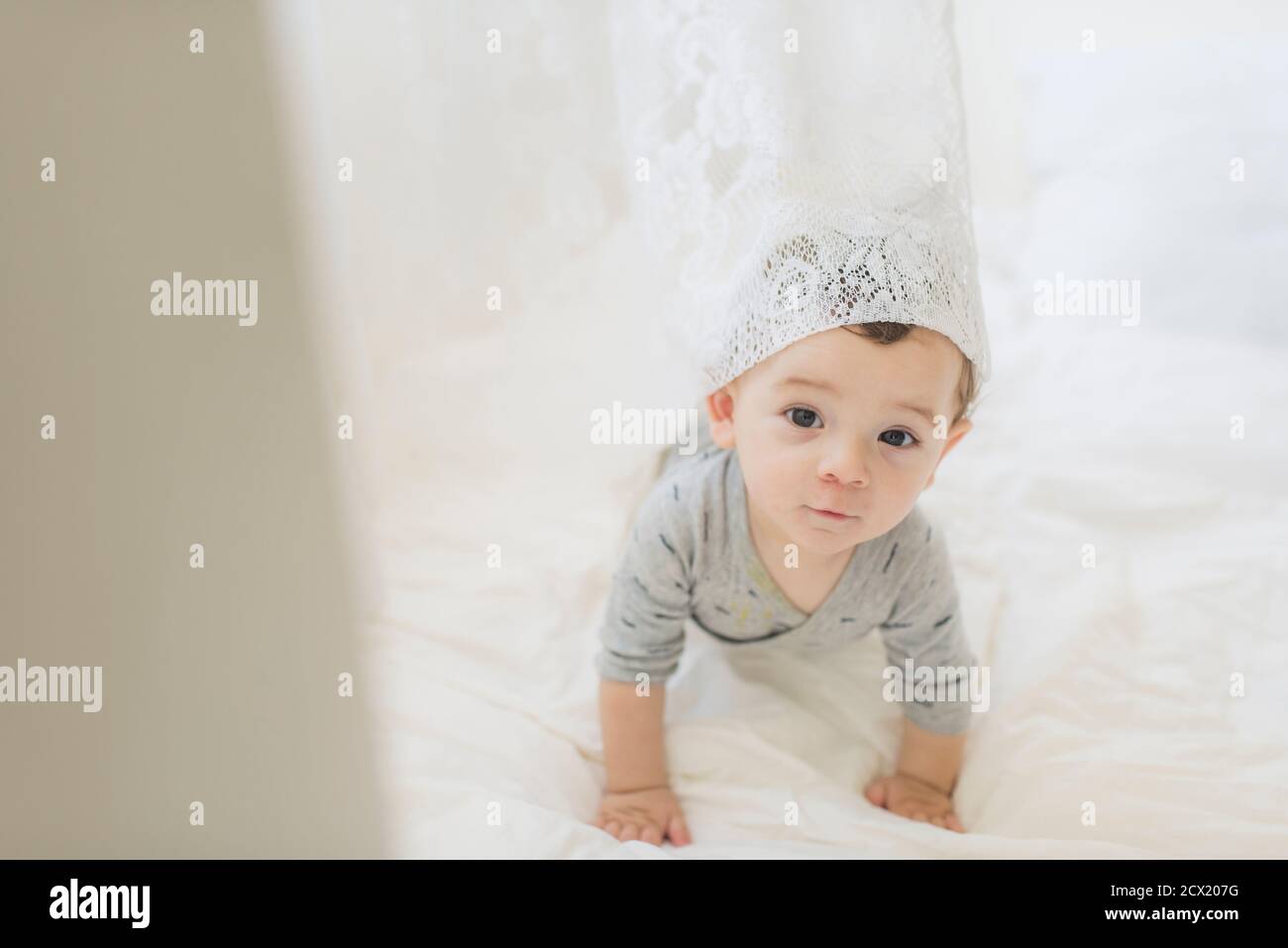Crawling baby boy with white lace curtain draped on head Stock Photo