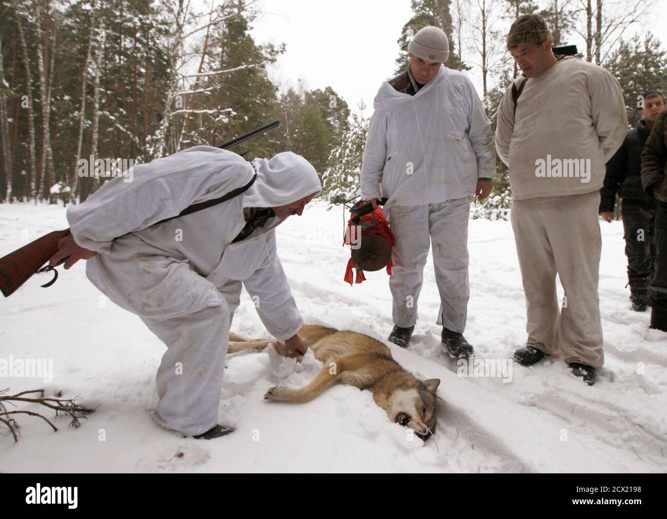 Chernobyl animals hi-res stock photography and images - Alamy