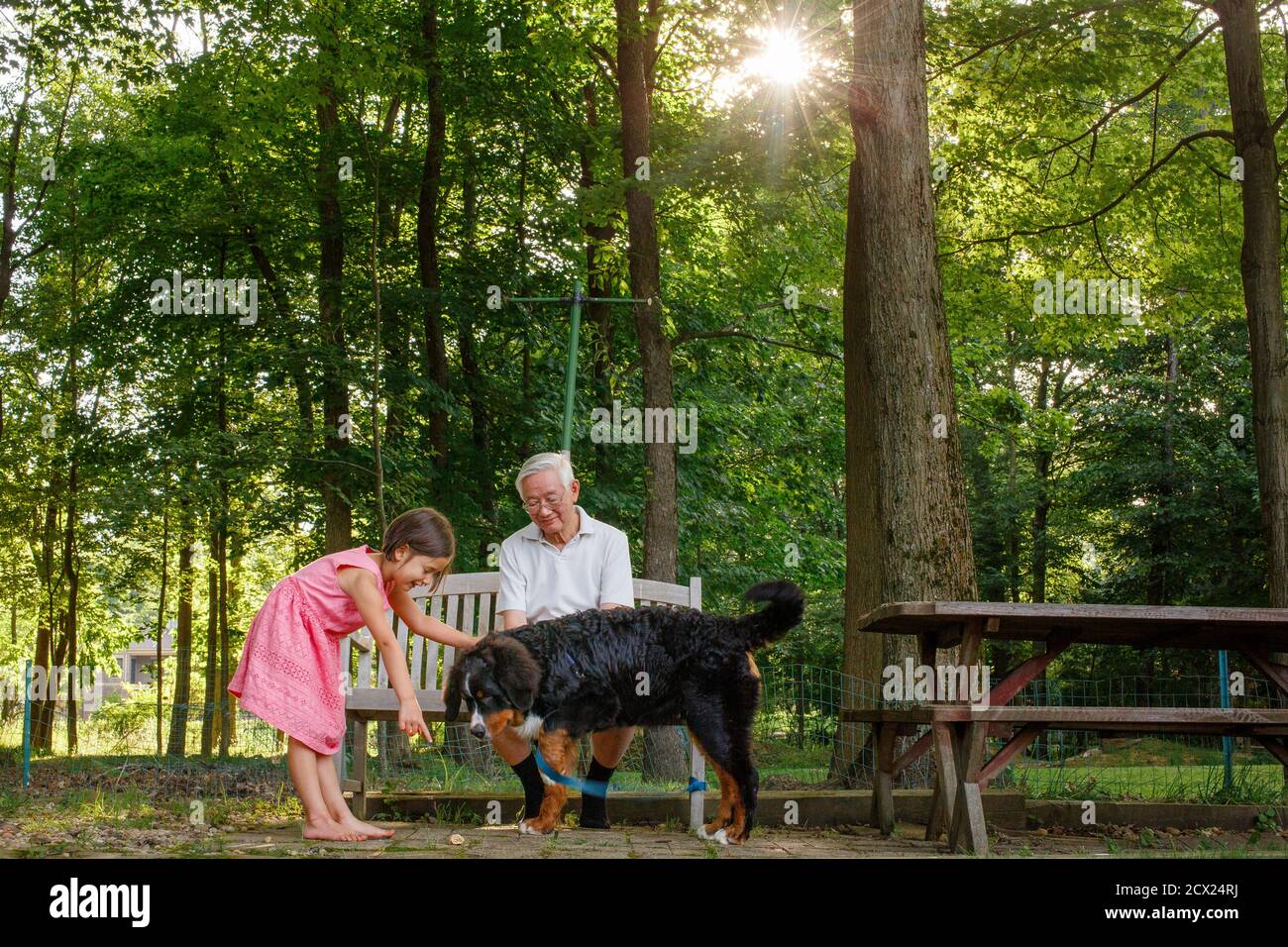 A little girl and her grandfather play with family dog outside in sun Stock Photo