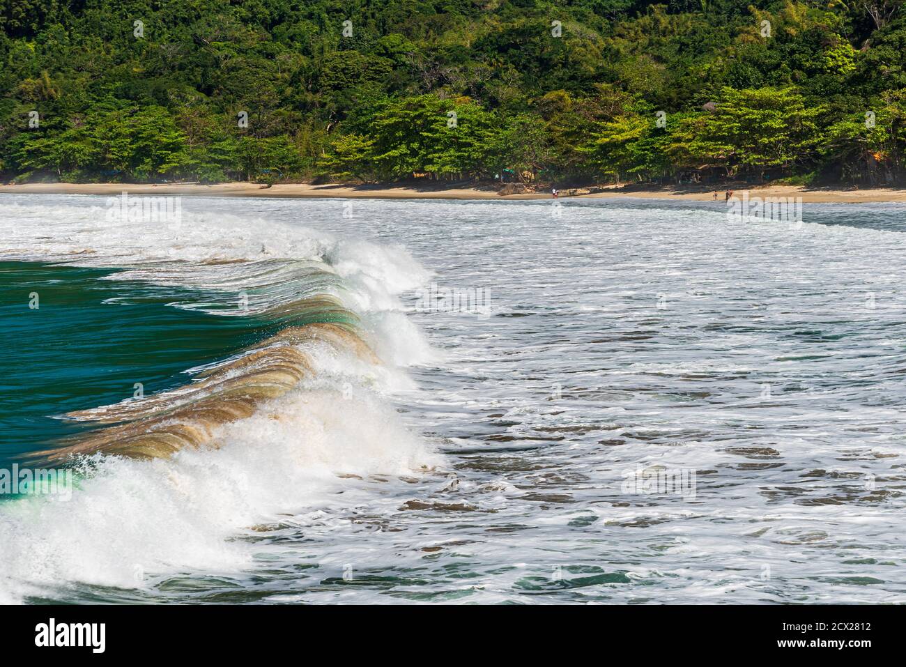 Brazil coast foliage hi-res stock photography and images - Alamy