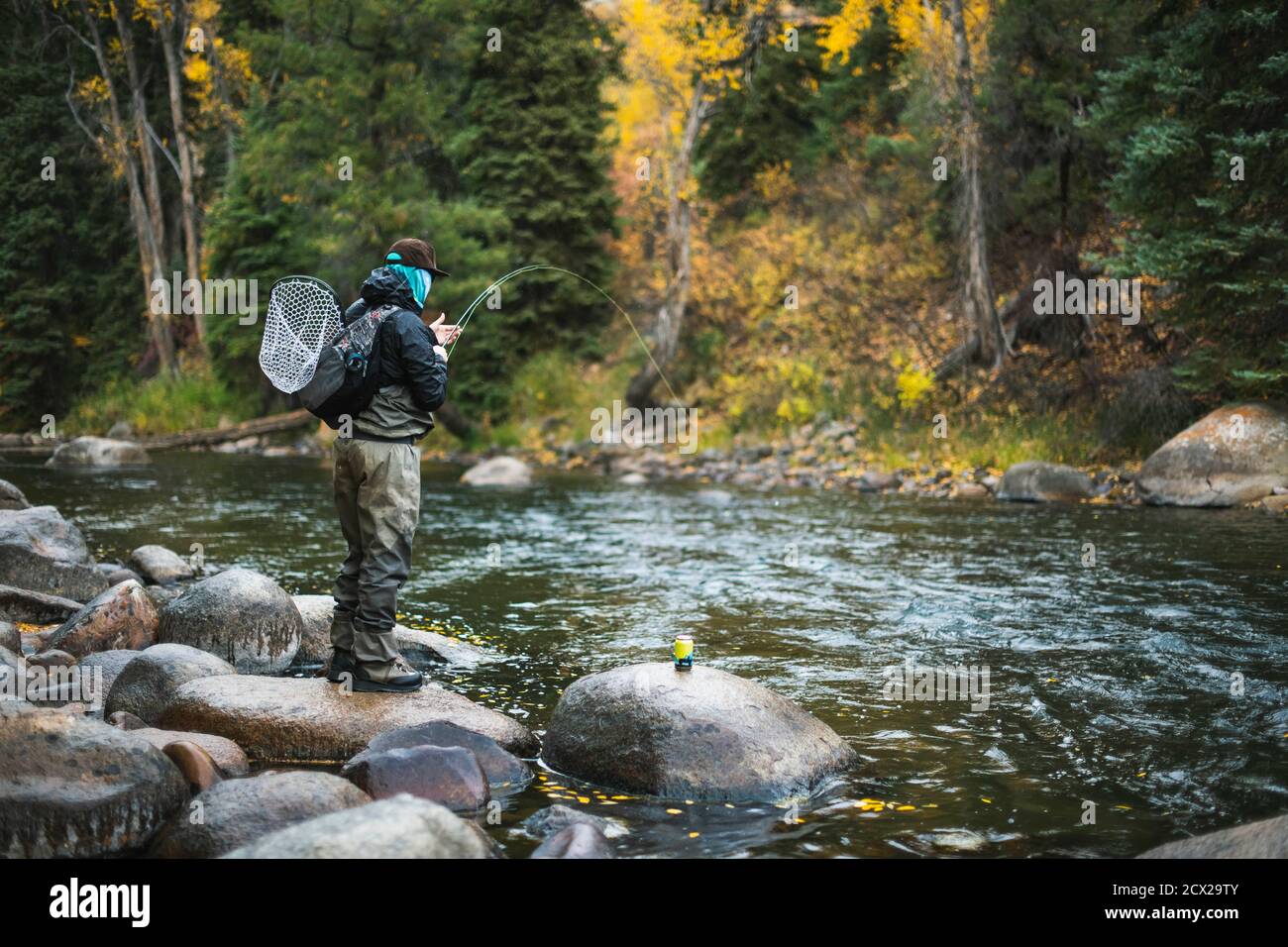 Man fly fishing while standing on rock at Roaring Fork River Stock