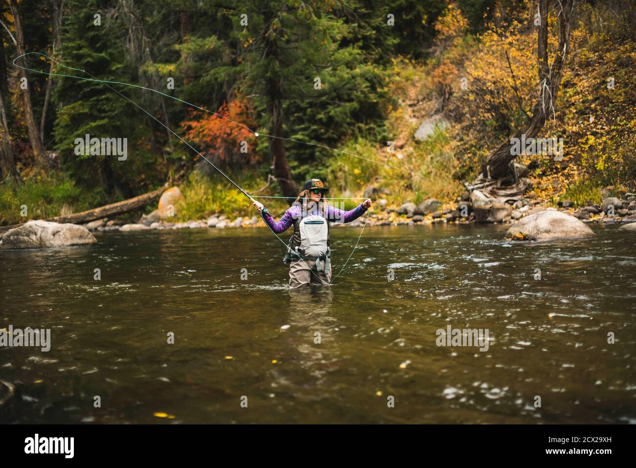 Woman fly fishing in Roaring Fork River during autumn Stock Photo Alamy