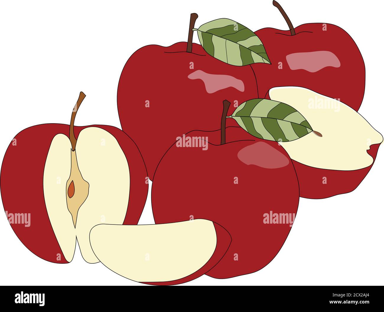 A Set of vector ripe red appels Stock Vector