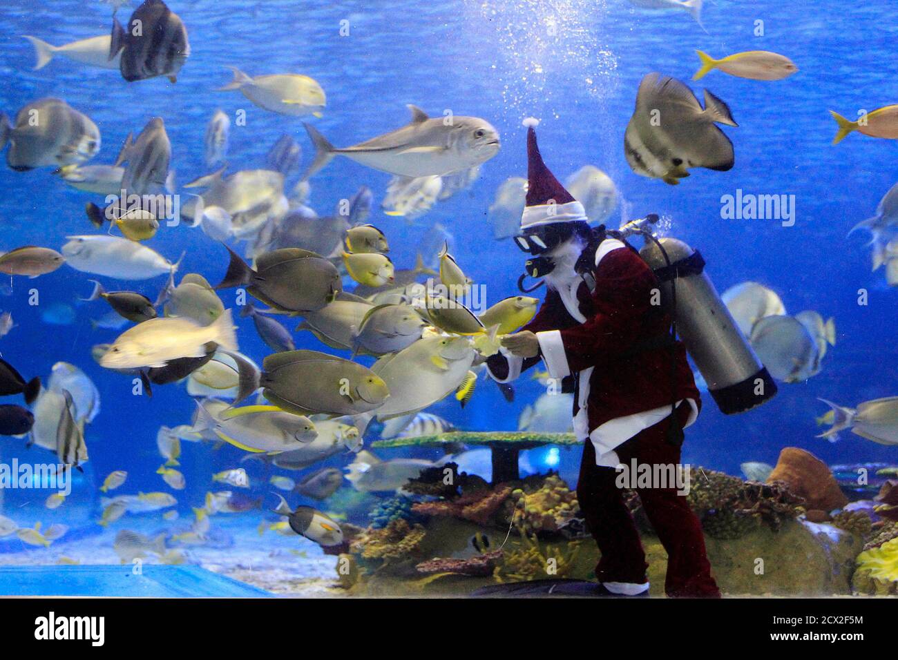 Radio Fish High Resolution Stock Photography And Images Alamy