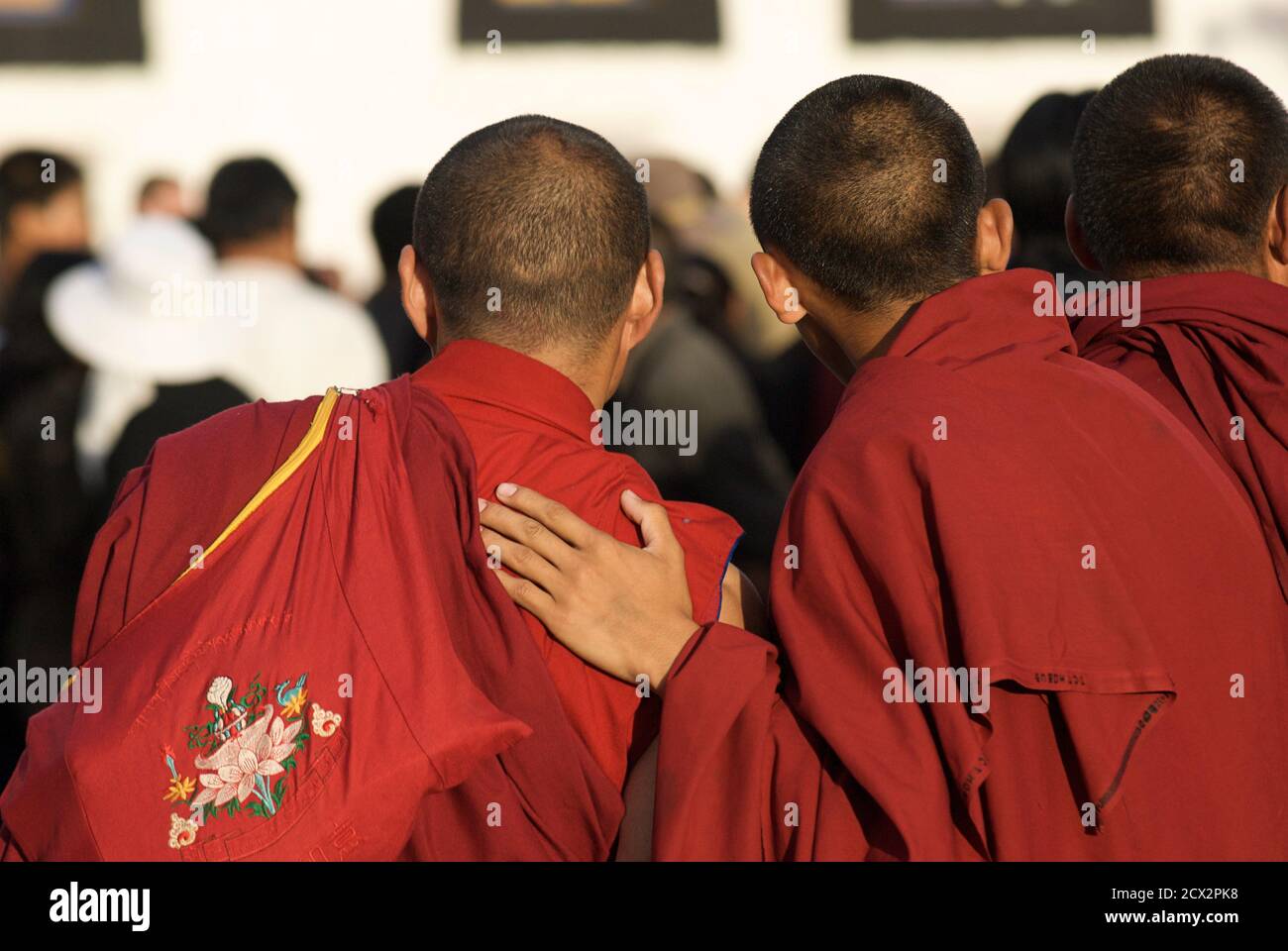 Tibetan buddhist monks. Barkhor Square, Lhasa, Tibet. Friends. Stock Photo