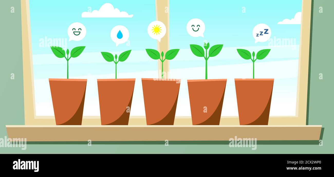 Seedlings in pots are standing on the windowsill. Young plants with leaves communicate with each other using emoji, emoticons; window, sky, clouds. Mo Stock Vector