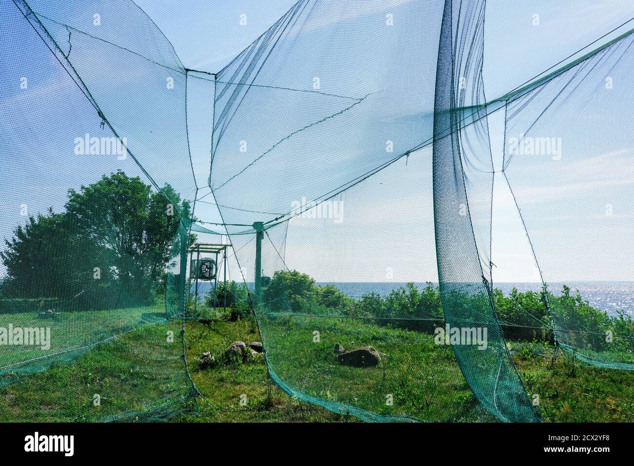 Large bird trap at the ornithological station for the study of bird