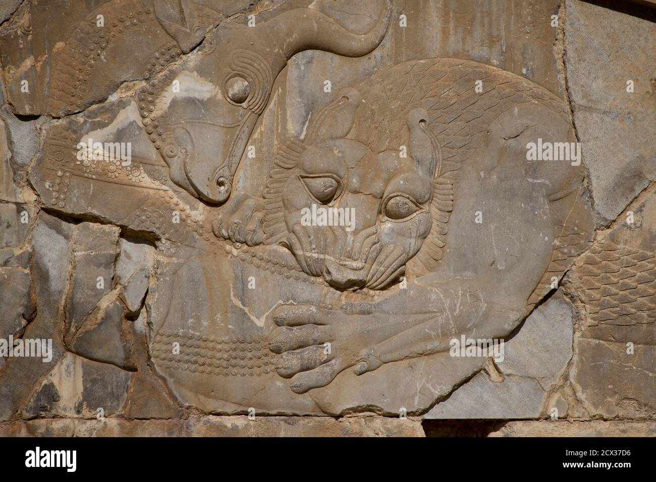 Lion biting the bull. Relief depicting the symbolic coming of spring and the Nowruz festivity, through lion (sun) feasting on the bull (earth); Persepolis, Iran Stock Photo