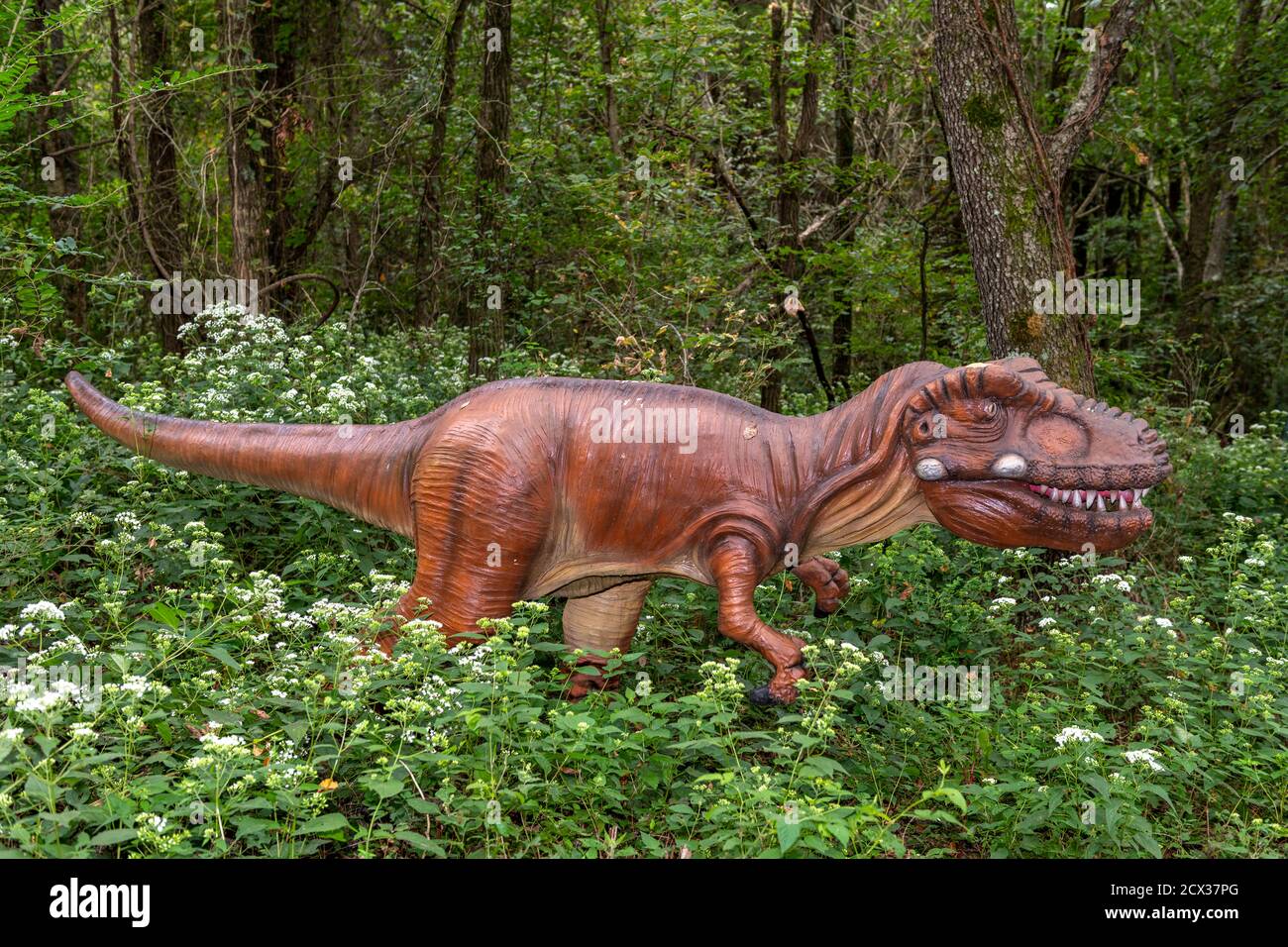 stock photography images Alamy and - Dinosaur world kentucky hi-res