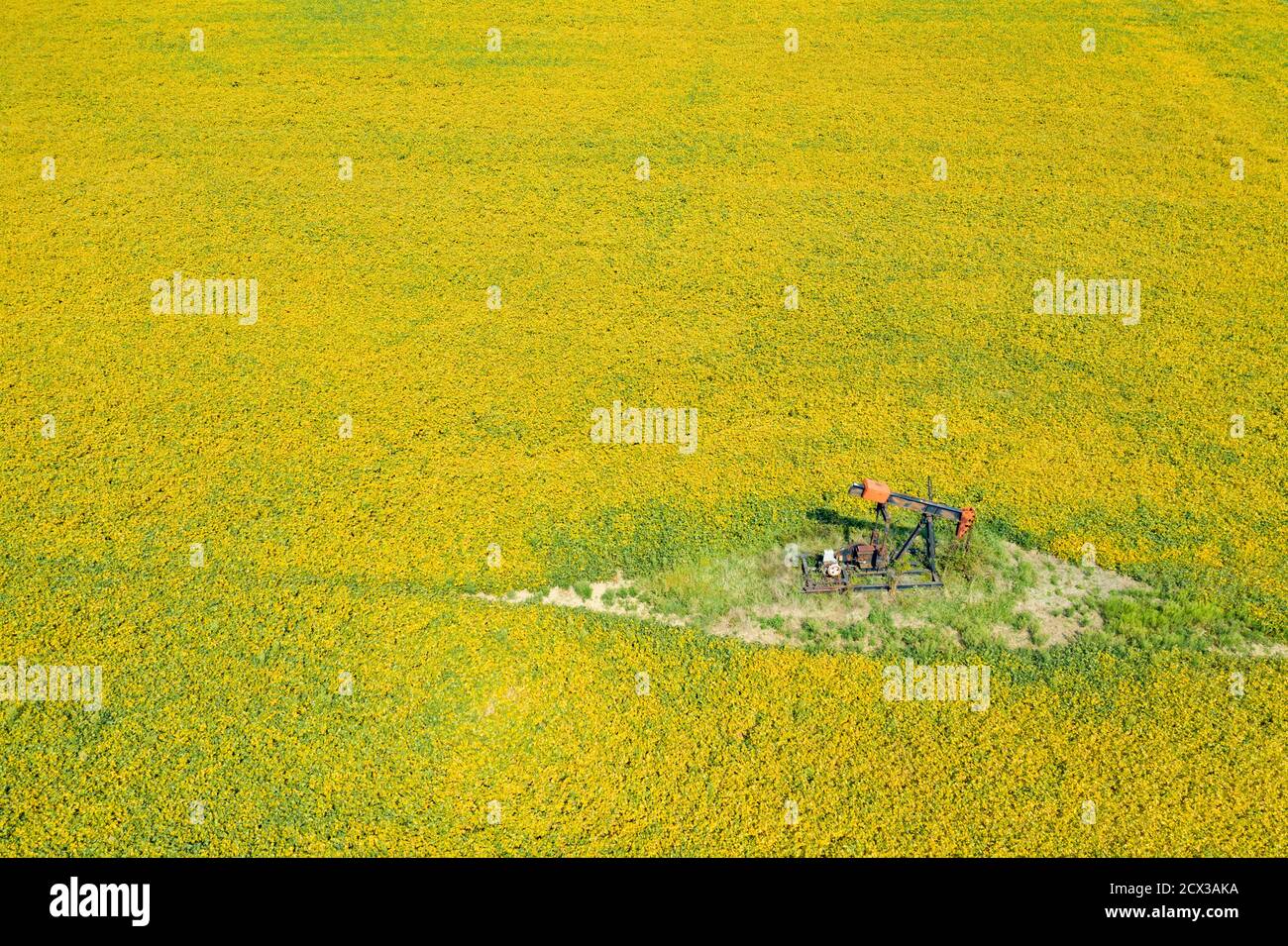 North Benton, Ohio - An old oil well in a yellow soybean field in early autumn. Stock Photo