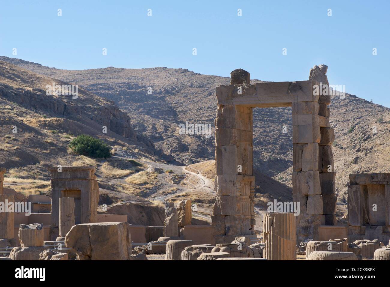 Hall of 100 columns, Persepolis, Iran Stock Photo