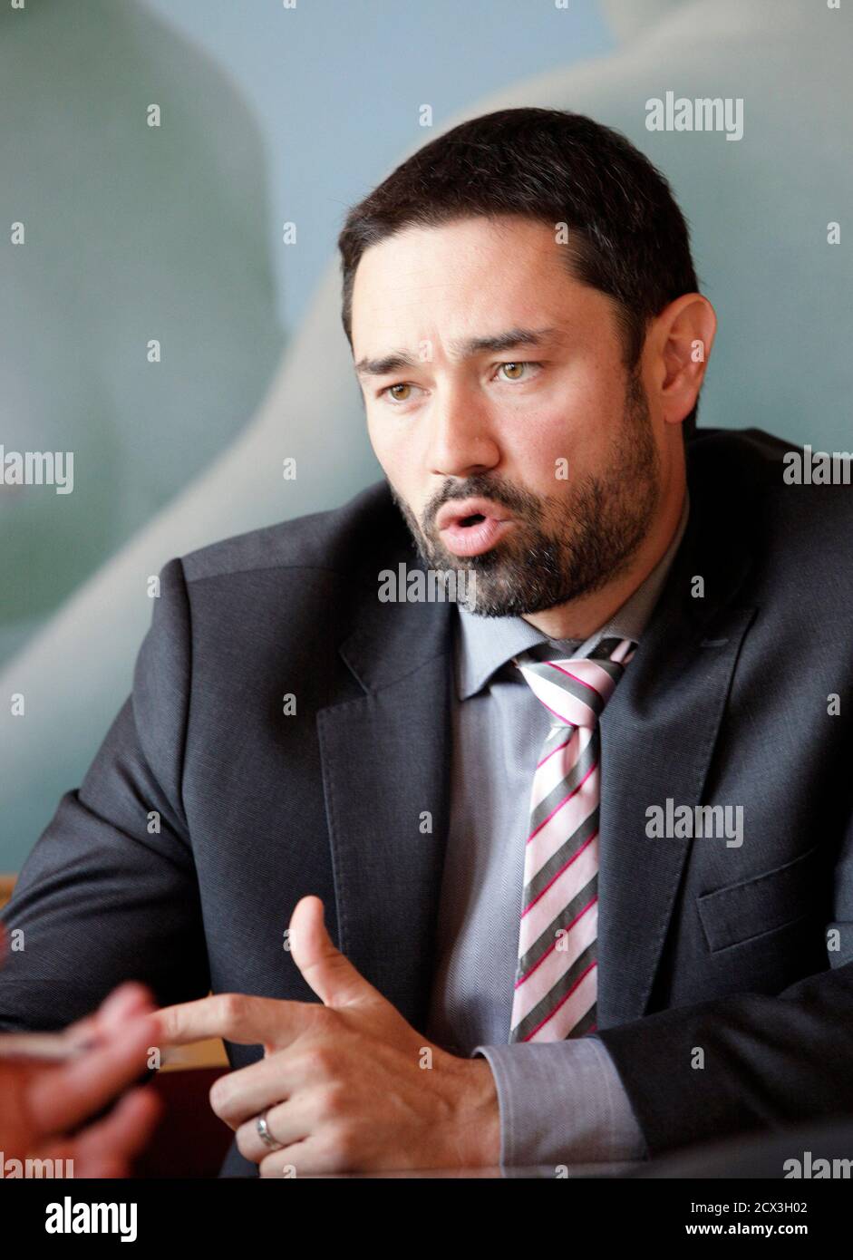 Janko Medja, CEO of NLB bank, speaks during an interview in Ljubljana September 29, 2014. Slovenia's top bank NLB (Nova Ljubljanska Banka) is likely to pass an EU-wide stress test after nearly collapsing under bad loans in 2013, but the government must press on with selling state assets to ensure stability, Medja said. REUTERS/Srdjan Zivulovic (SLOVENIA - Tags: BUSINESS) Stock Photo