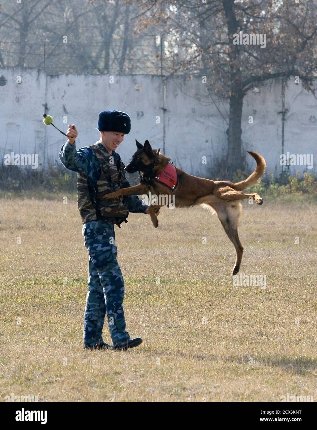 A dog handler trains the canine unit during exercises at a regional cynology centre of Kazakhstan's Customs Control Committee in Almaty November 15, 2010. REUTERS/Shamil Zhumatov  (KAZAKHSTAN - Tags: ANIMALS CRIME LAW) Stock Photo