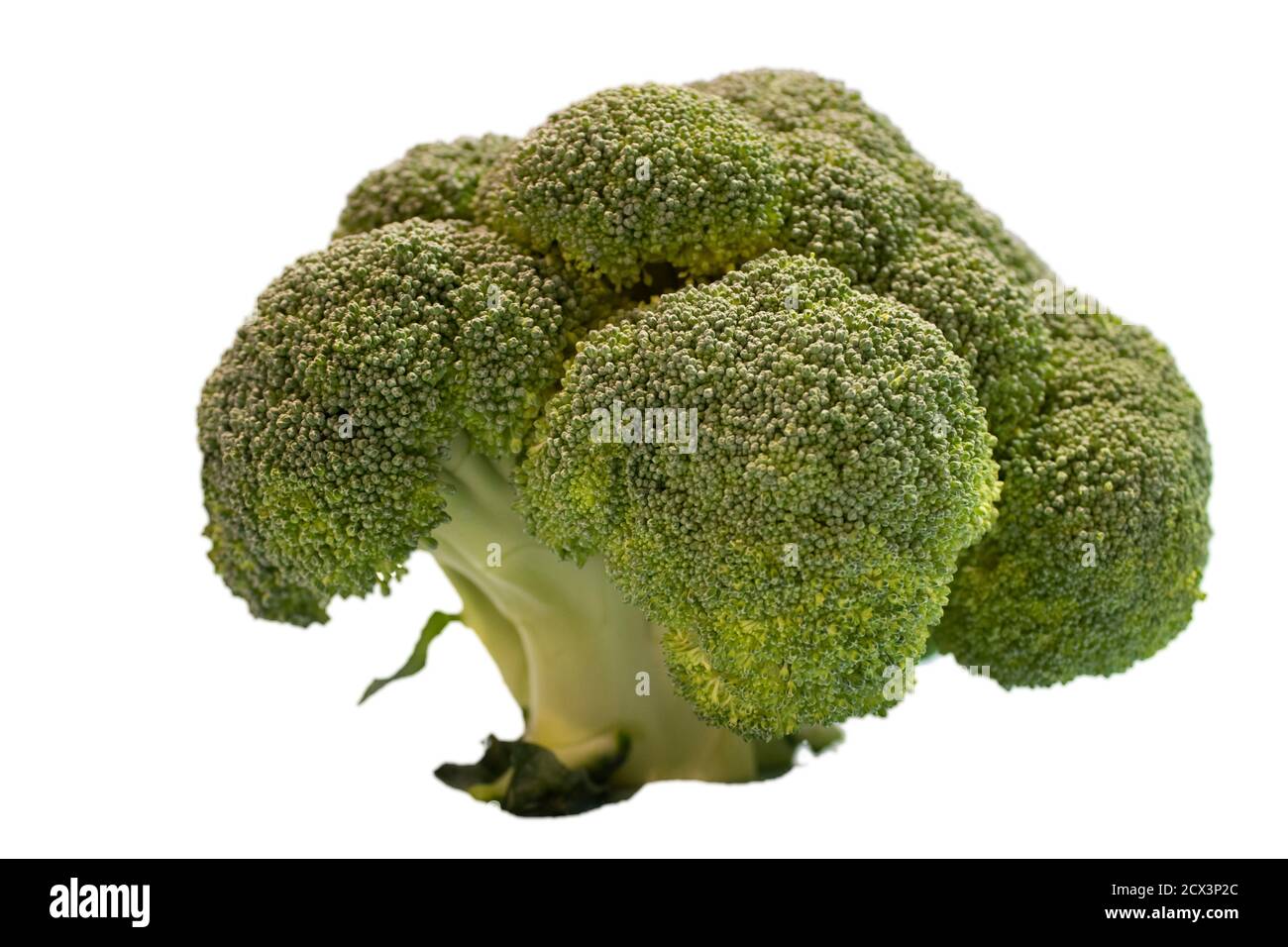 Broccoli flower hires stock photography and images Alamy