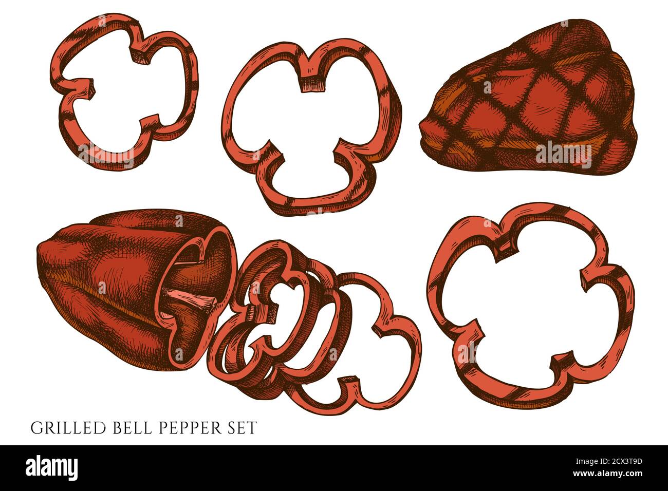 Vector set of hand drawn colored grilled bell pepper Stock Vector Image ...