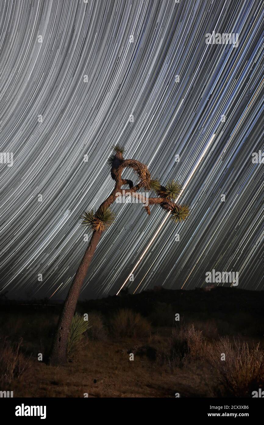 Camping at Night With Star Trails in Joahua Tree National Park Stock ...