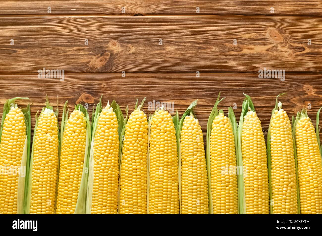 Fresh corn on cobs on rustic wooden table. Top view witn copy space. Stock Photo