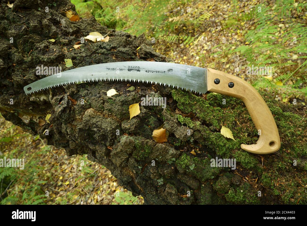 A pruning saw resting on a tree trunk Stock Photo Alamy