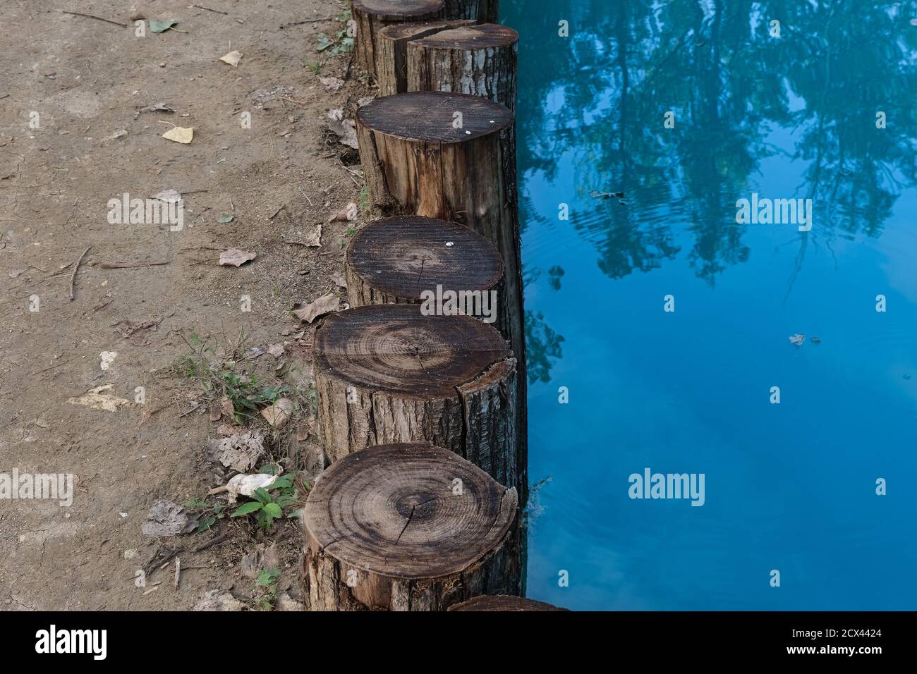 contrast between land trunks and water Stock Photo Alamy
