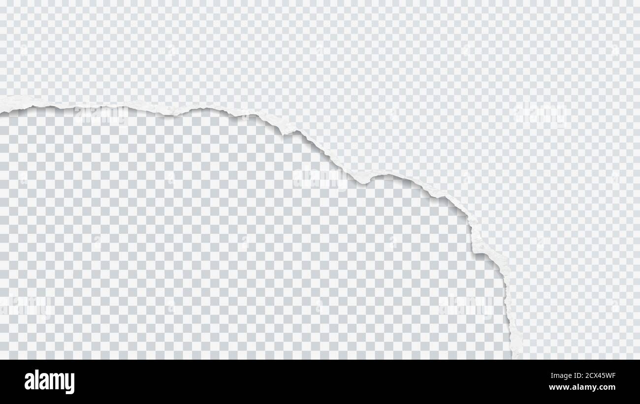 Piece of torn, ripped white squared paper is on transparent background ...