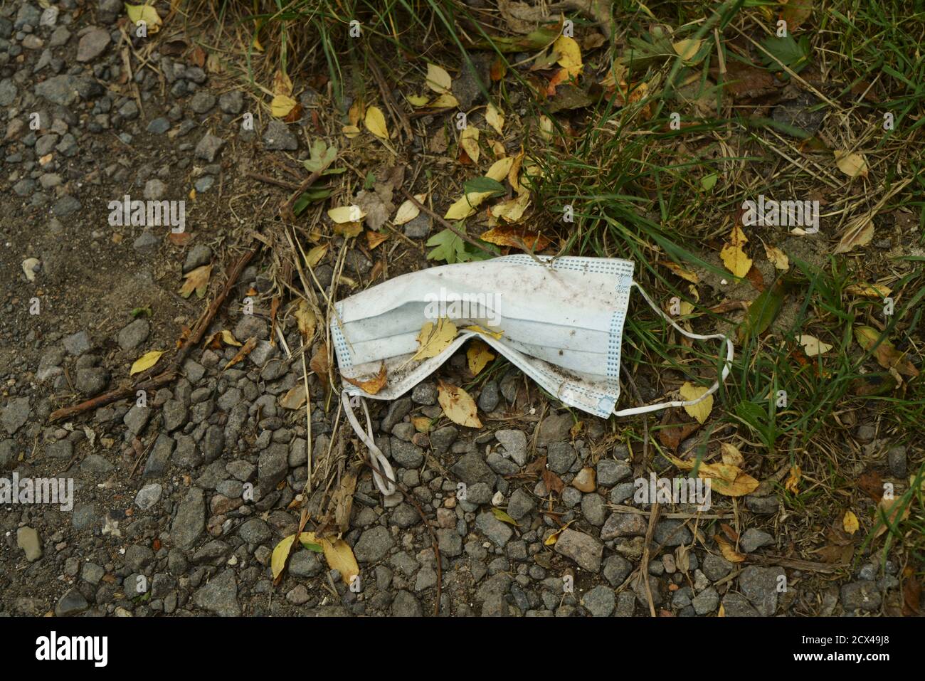 A disposable face mask littering a footpath in the UK Stock Photo Alamy