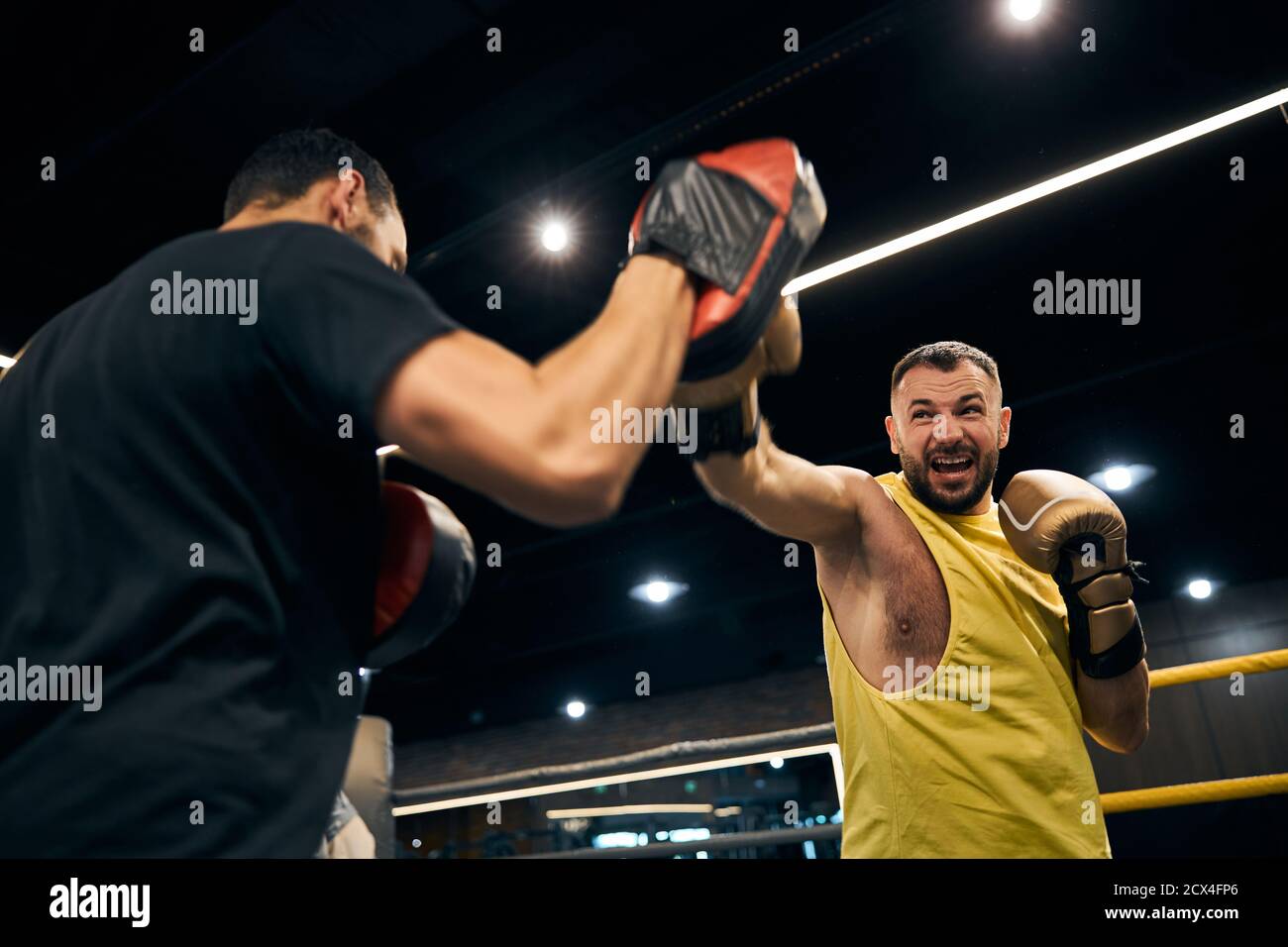 Aggressive boxer is hitting a punching pad Stock Photo Alamy