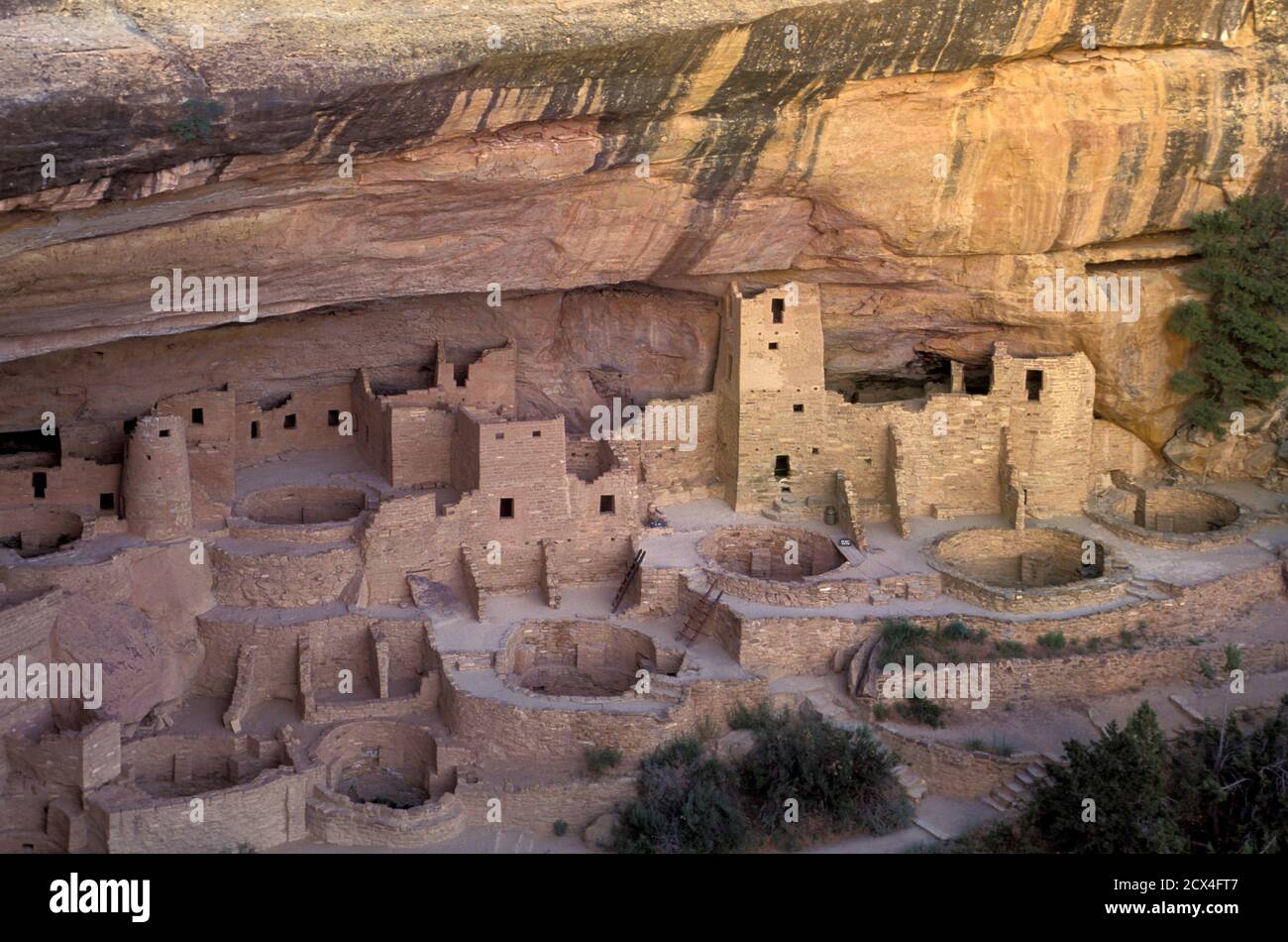 USA, Colorado, Mesa Verde National Park, Cliff Palace Stock Photo - Alamy
