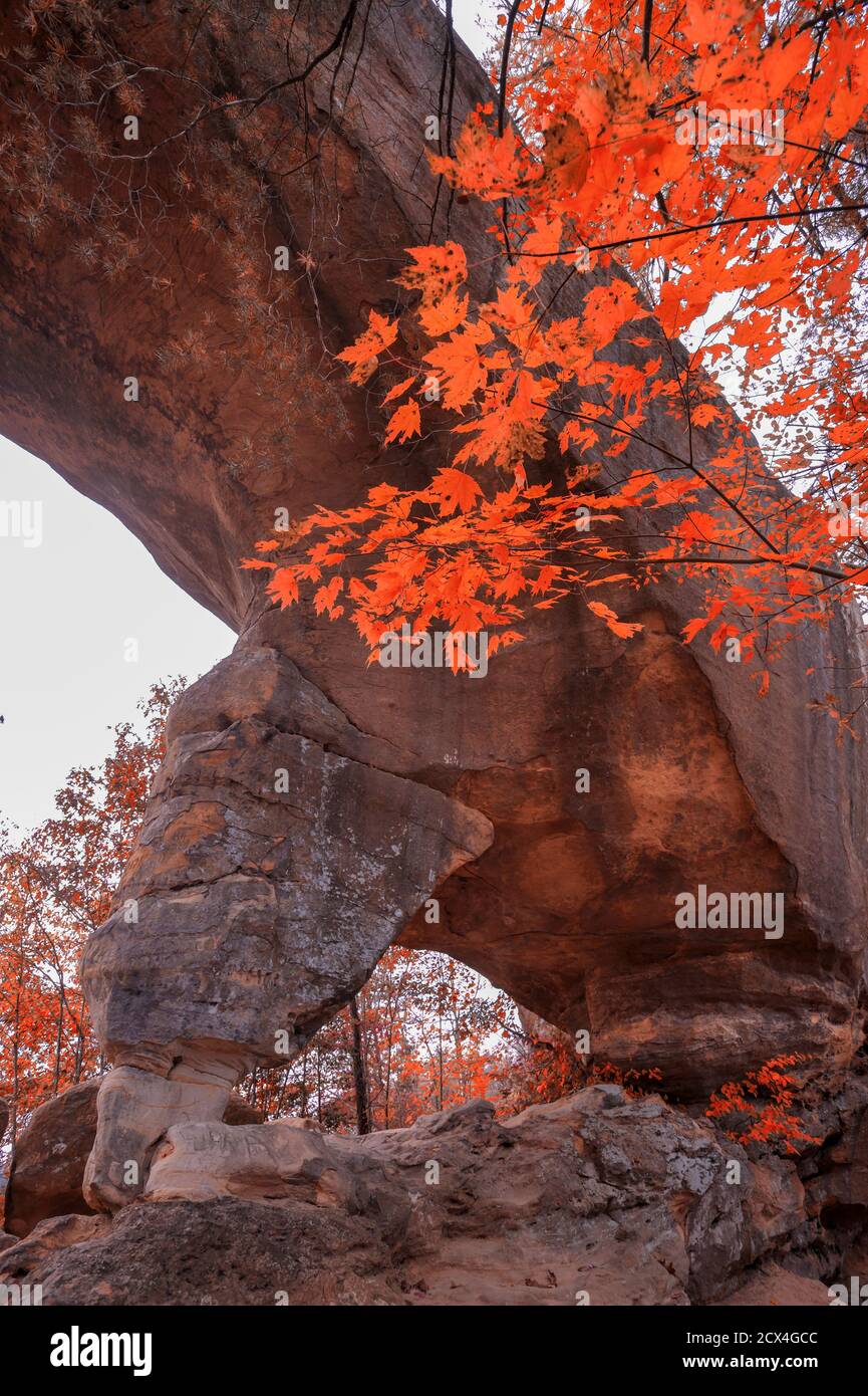 USA, southeastern, Kentucky,Daniel Boone National Forest, The Red River Gorge Geological Area, Sky Bridge, Stock Photo