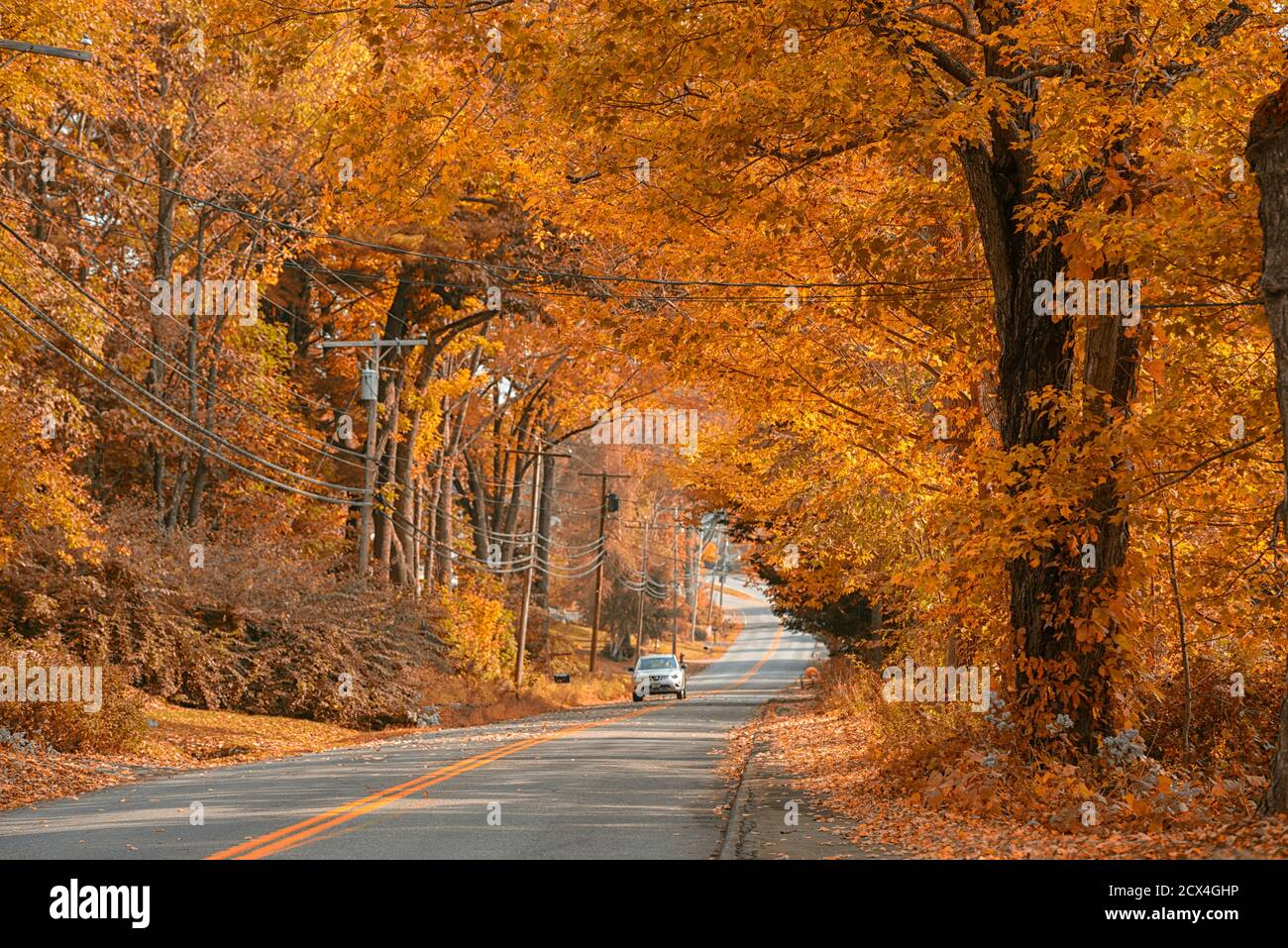 Bear pond maine hires stock photography and images Alamy
