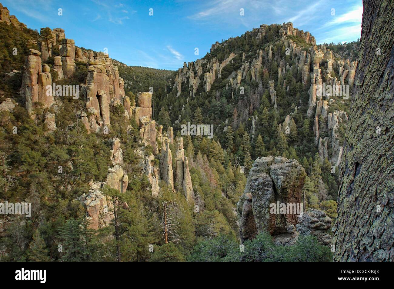 USA, America, Arizona, Chiricahua National Monument, scenic rocks Stock Photo
