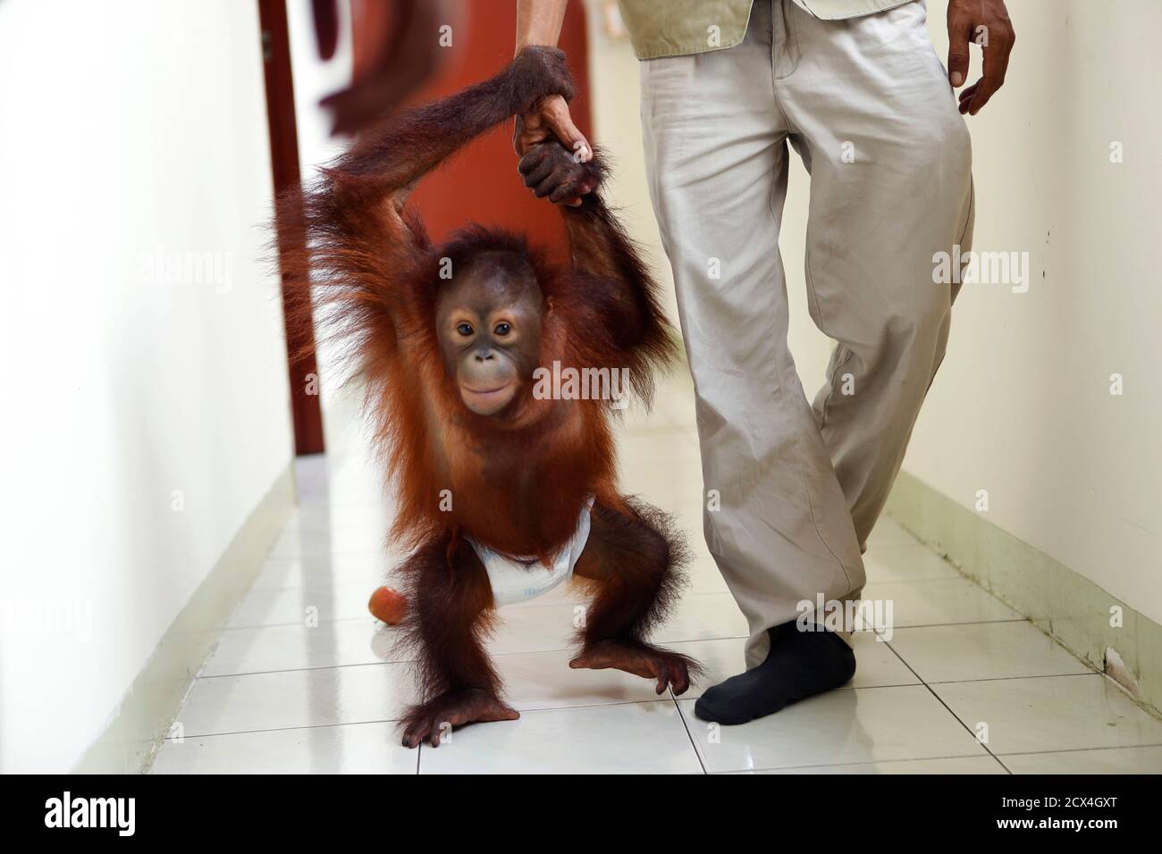 Bukit Merah High Resolution Stock Photography And Images Alamy